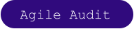 Agile Audit