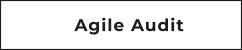 Agile Audit