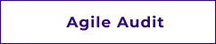 Agile Audit