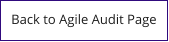 Back to Agile Audit Page