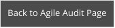 Back to Agile Audit Page
