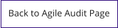 Back to Agile Audit Page