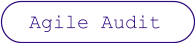 Agile Audit